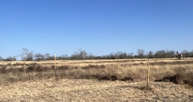 rental at 0 Ess Rd in Atascosa, TX — photo 4