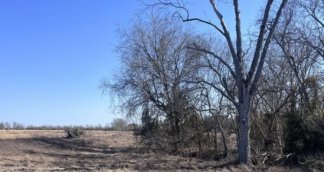 rental at 0 Ess Rd in Atascosa, TX — photo 5