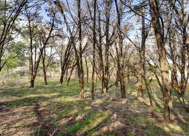 rental at 10468 Rebecca Creek in Spring Branch, TX — photo 1