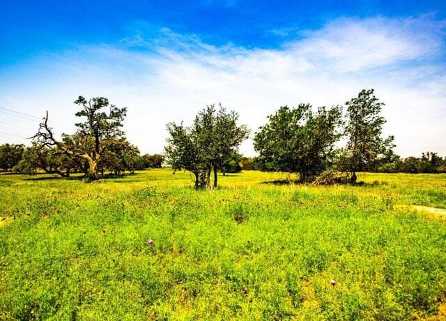 Home for sale at LOT 59 TBD Eagle in Bandera, TX — photo 2