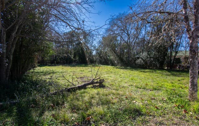 rental at 314 S Plant Ave in Boerne, TX — photo 5