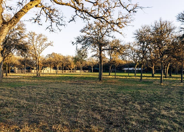 rental at 1025 Blanco in Boerne, TX — photo 5