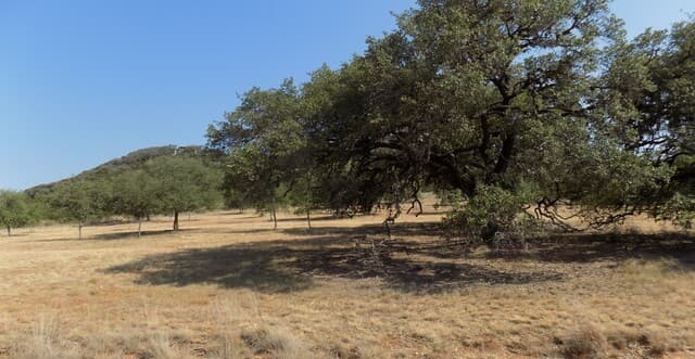 Home for sale at TBD Hills Of Bandera in Bandera, TX — photo 1