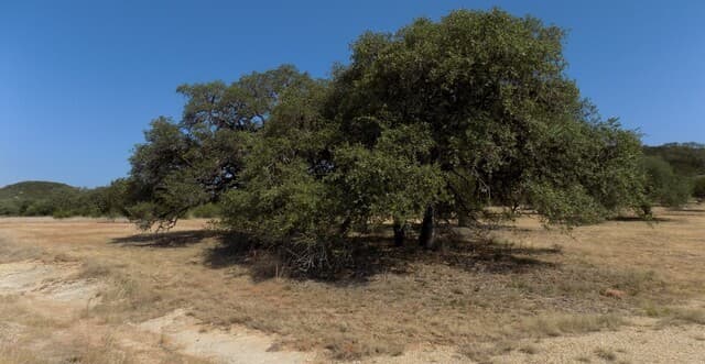 Home for sale at TBD Hills Of Bandera in Bandera, TX — photo 2
