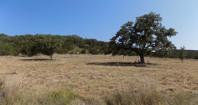 Home for sale at TBD Hills Of Bandera in Bandera, TX — photo 5