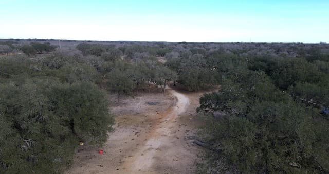 rental at 775 Mobile Home in Poteet, TX — photo 5