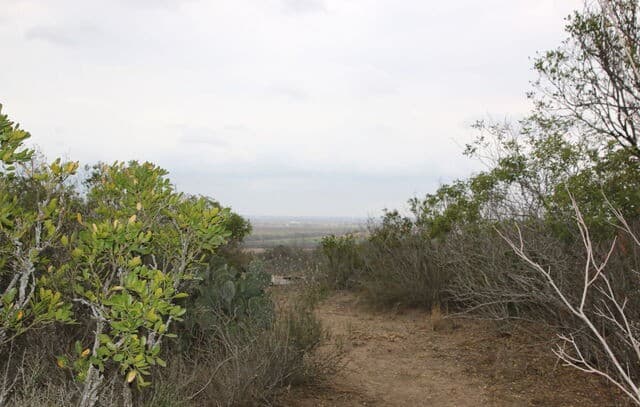 rental at TBD County Road 573 in Castroville, TX — photo 5