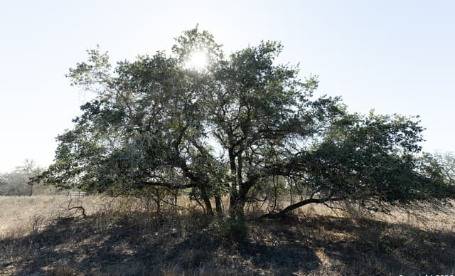 rental at 2743 Cr 770 in Natalia, TX — photo 2