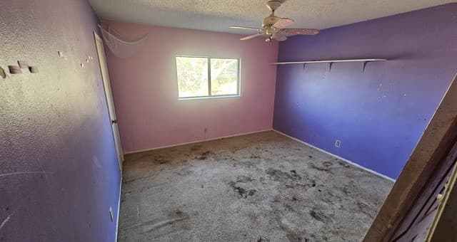 Home for sale at 7307 Shadow in San Antonio, TX — photo 3