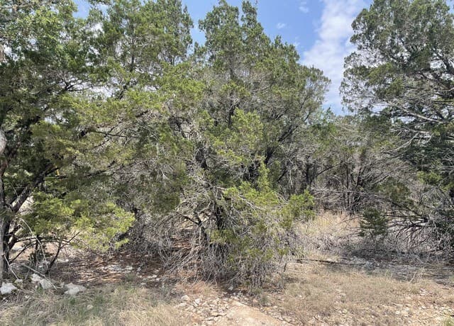 rental at 908 Serene in Spring Branch, TX — photo 4