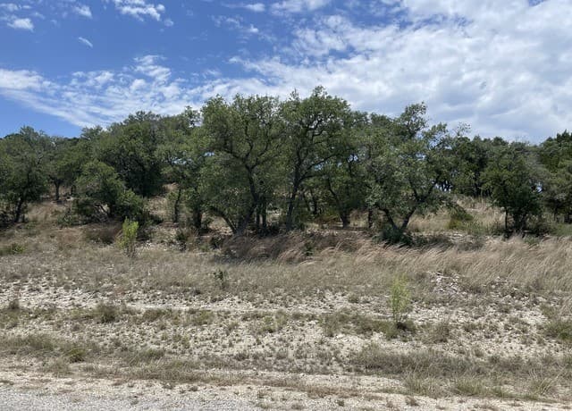rental at 218 Restless Wind in Spring Branch, TX — photo 3