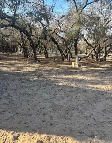3-bedroom rental at 1375 Peaceful Ln in San Antonio, TX — photo 3