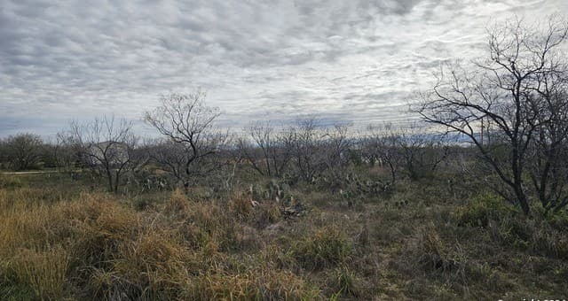 rental at 949 W Ave K Lots 3283-3285 in Christine, TX — photo 4