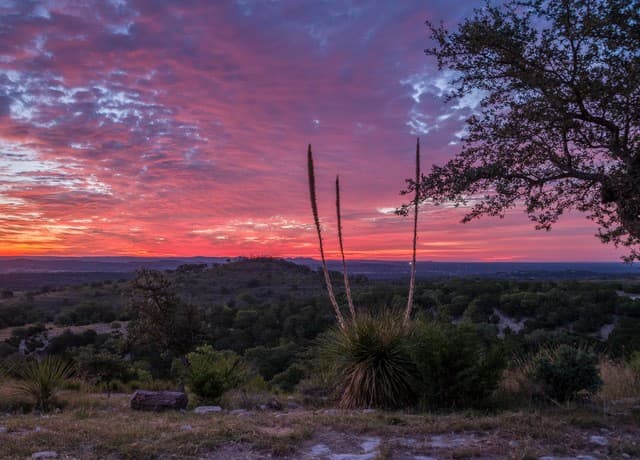4-bedroom rental at 217 Saddle Wood in Comfort, TX — photo 2