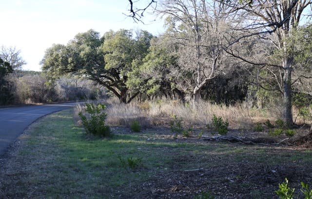 rental at TBD County Road 241 in Hondo, TX — photo 3