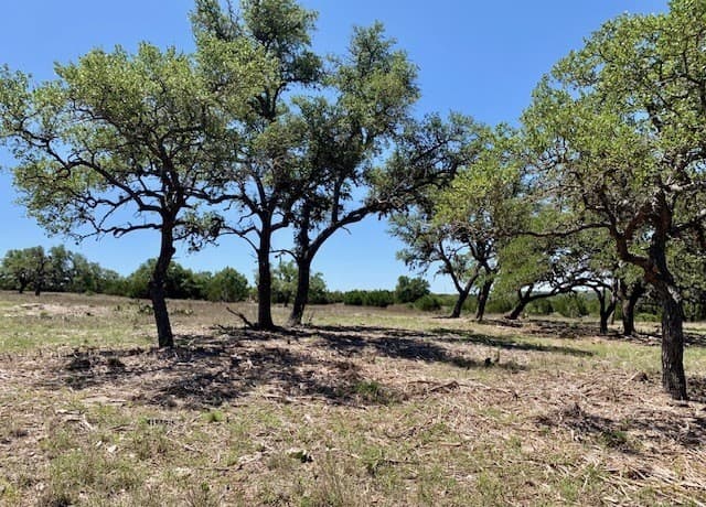 Home for sale at 104 Cold Springs Canyon in Bandera, TX — photo 3