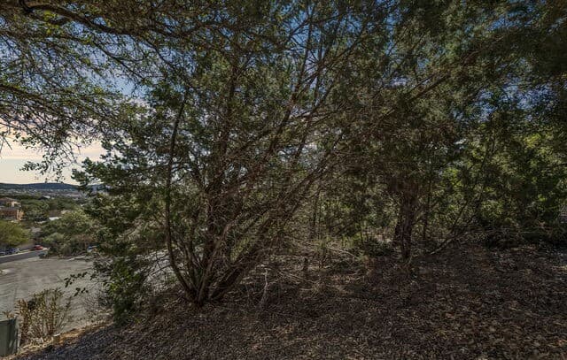 rental at 11232 Cave Creek in Helotes, TX — photo 4