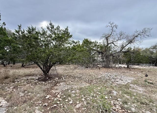 rental at 104 C Chisholm in Blanco, TX — photo 3