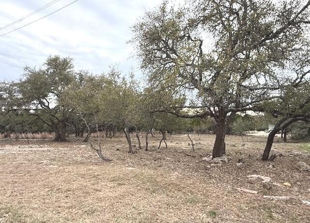 rental at 104 C Chisholm in Blanco, TX — photo 4