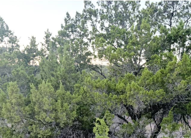 rental at 124 Camp Verde in Bandera, TX — photo 3