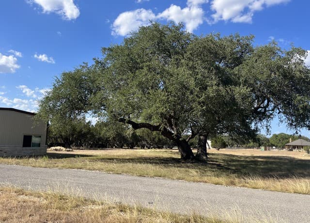 Home for sale at 239 Appaloosa Hollow in Bandera, TX — photo 3