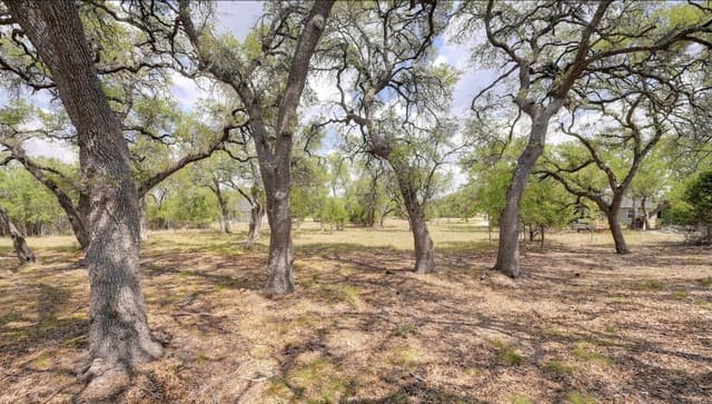rental at 107 S Calvin Barrett in Blanco, TX — photo 2