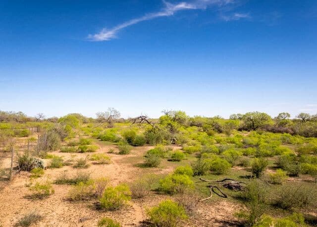 rental at 4246 Rakowitz Rd in Adkins, TX — photo 4