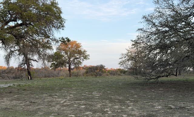 rental at 534 Whitetail dr in Adkins, TX — photo 2