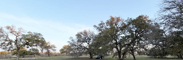 rental at 534 Whitetail dr in Adkins, TX — photo 3