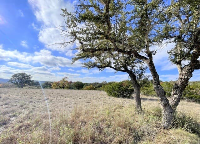 rental at 150 Riddle in Spring Branch, TX — photo 3