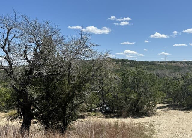 rental at 100 Manana in Blanco, TX — photo 1