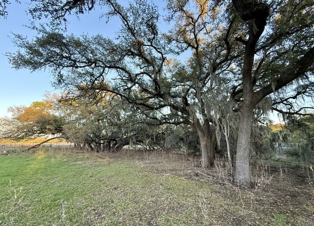 rental at 638 Cool Spring Drive in Spring Branch, TX — photo 4