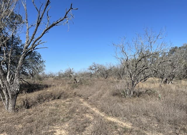 rental at TRACT#8 12.31A County Road 777 in Devine, TX — photo 2