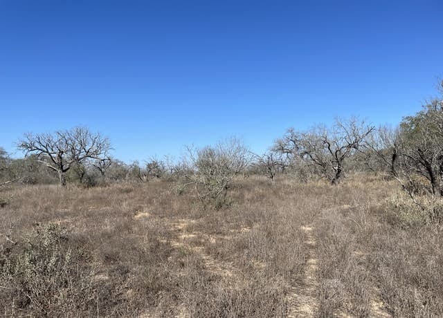 rental at TRACT#8 12.31A County Road 777 in Devine, TX — photo 3