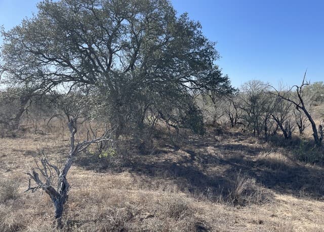 rental at TRACT#8 12.31A County Road 777 in Devine, TX — photo 4