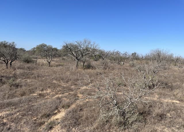 rental at TRACT#8 12.31A County Road 777 in Devine, TX — photo 5