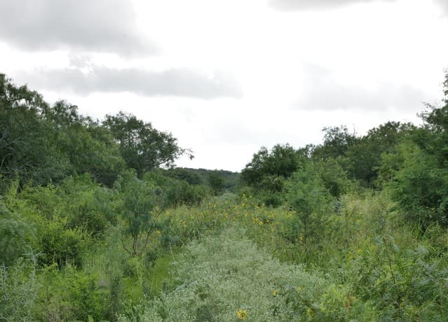 rental at TRACT 8 TBD Cr 208 in Hobson, TX — photo 5