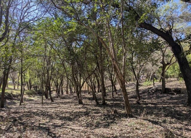 rental at 19612 Greenhill in Helotes, TX — photo 3