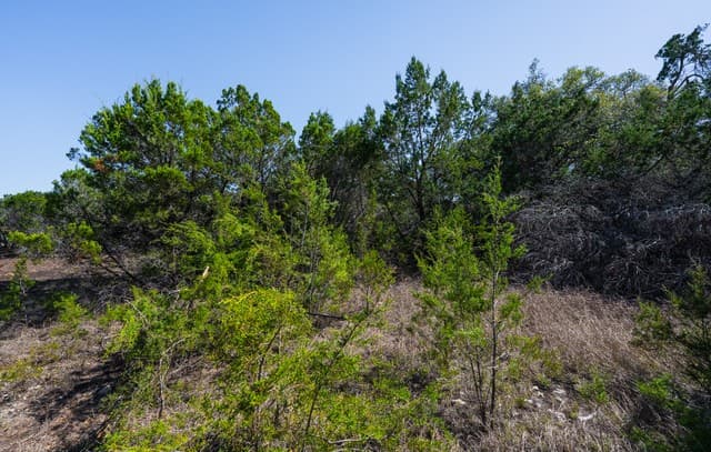 rental at 26809 Kentoaks in San Antonio, TX — photo 5