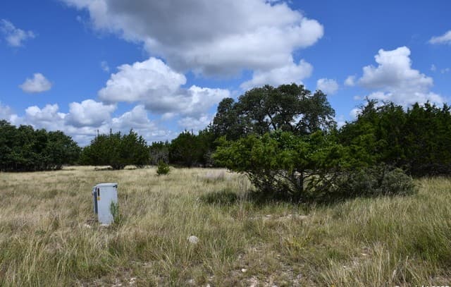 rental at 107 Silas Parker in Blanco, TX — photo 5