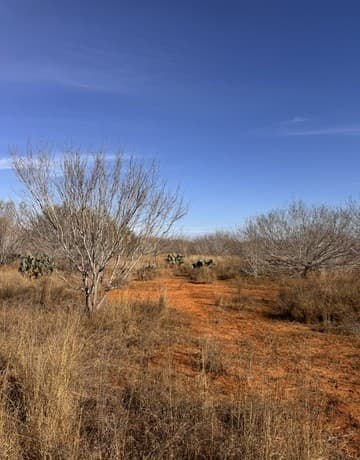 rental at TR 1 W Highway 85 in Dilley, TX — photo 2