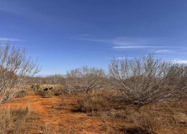 rental at TR 1 W Highway 85 in Dilley, TX — photo 3
