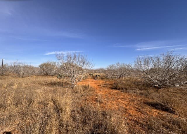 rental at TR 1 W Highway 85 in Dilley, TX — photo 4