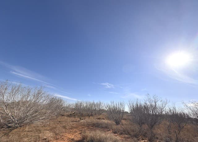 rental at TR 1 W Highway 85 in Dilley, TX — photo 5
