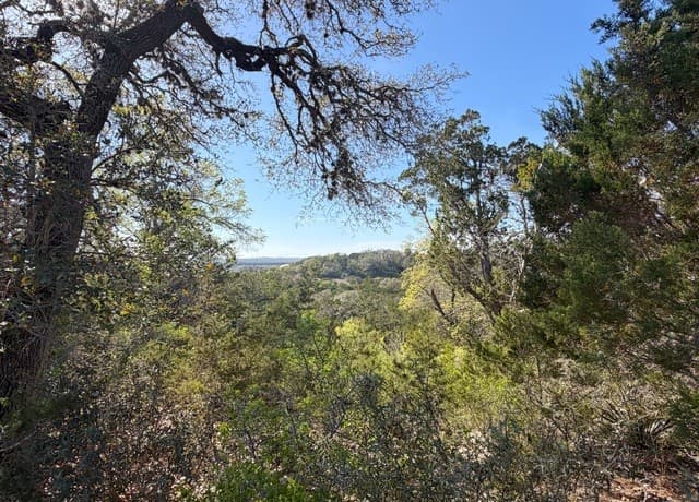 rental at 126 Riddle in Spring Branch, TX — photo 5