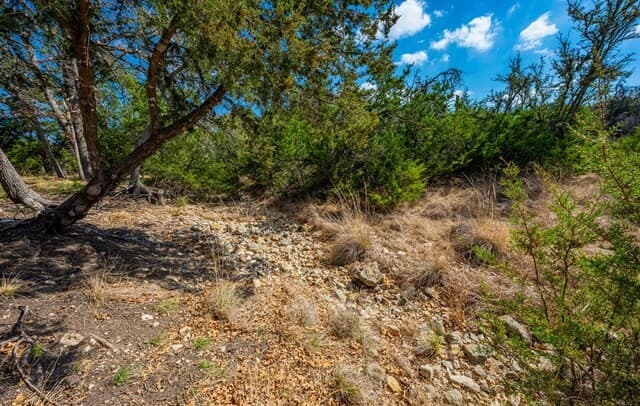 3-bedroom rental at 5077 Old San Antonio Rd in Fredericksburg, TX — photo 3