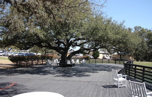 rental at 323 S Calvin Barrett in Blanco, TX — photo 5