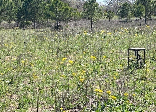 rental at 6611 Fm 1681 in Stockdale, TX — photo 3