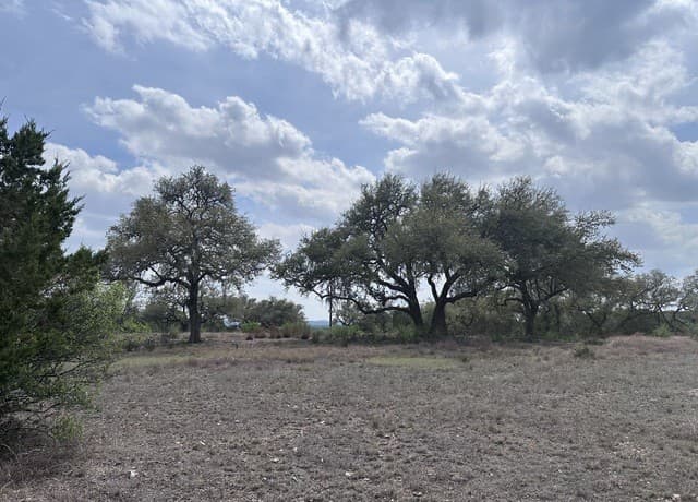 rental at 318 Serenity Pass in Spring Branch, TX — photo 1