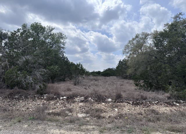 rental at 318 Serenity Pass in Spring Branch, TX — photo 2